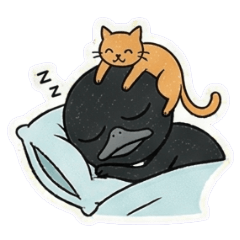 黑鴨的鏟屎官生活日常-1