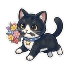 賓士貓觀察日記-日常篇