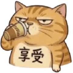 臭臉貓的生活指南