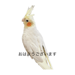 maron_20260328174327