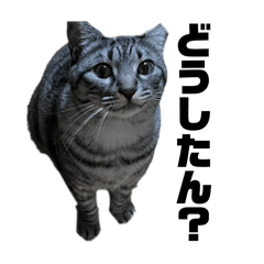 yuichi_20260328200044