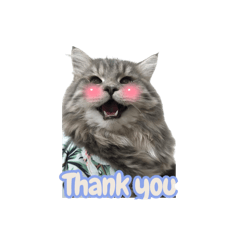 Nunny_20260328144314