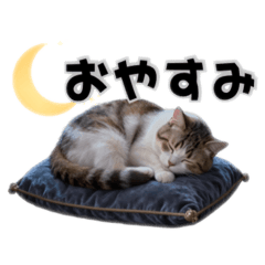 miwa0122_20260328181404