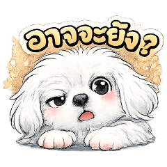 Wasukri_20260328153730