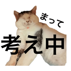 kasu._20260328184217