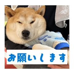 liz6us__20260328193511