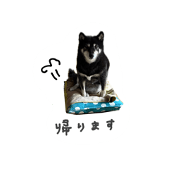 Misaki_20260328204739