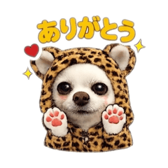 munchan_20260328204240