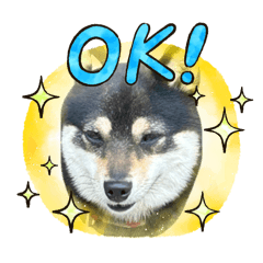 Kametani_20260328205113