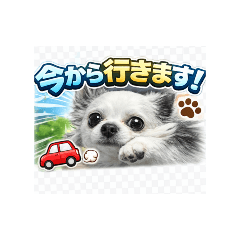 Renren_20260328194938