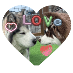 Ryuzo_20260328195655