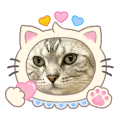 波比vs money的日常No.1