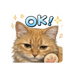 kuroinu_20260328195632