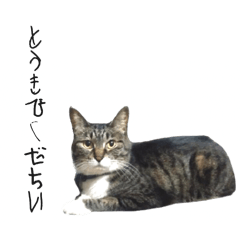 Miitsu_20260328210856