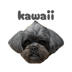 Sa'ih_20260328211135