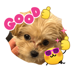 panchan_20260328211522