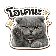 KANVORA_20260328192129