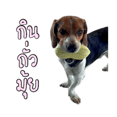 Zecreammm_20260328200506