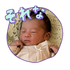 daiki_20260328202403