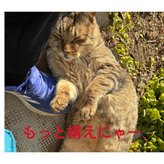 ryomaryoma_20260328202258