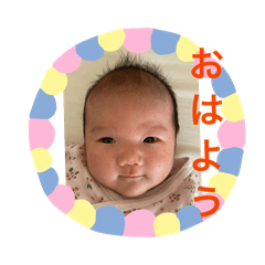 N Family_20260328202528