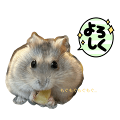 wakaka_20260328202858