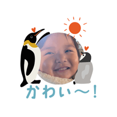 shunpemaru_20260328222626