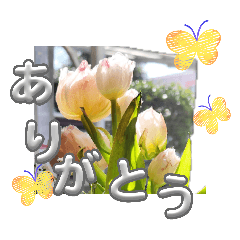 a simple written greeting