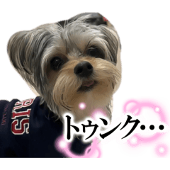 monroe_20260328222200