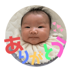 ayamo_20260328223401