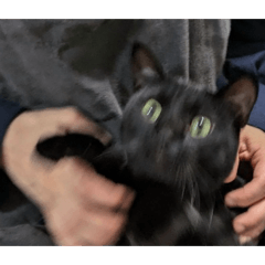 Kanchi_20260328222455