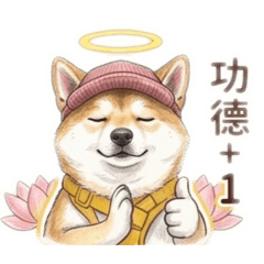 張胖Q的日常生活