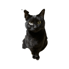 101leather_20260328205319