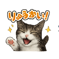 Catmoon_20260328210258