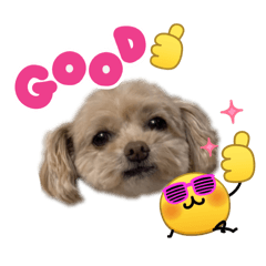 Naonao_20260328210619