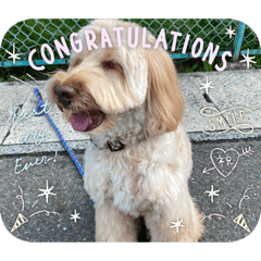 taekal_20260328210532