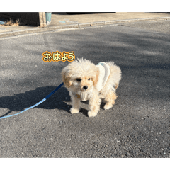 Hirotaka_20260328205750