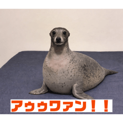 HiROKi_20260328225732