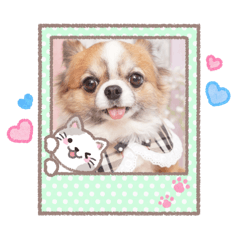 kyun and rate_20260328230436