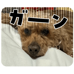 misapi_20260328225917