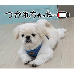 h.mtk_20260328230447