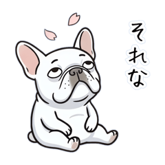 Lazy French Bulldog Spring Slump