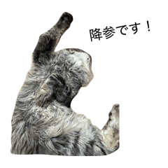 motokin_20260328230523