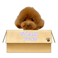 Cherry_20260328230504