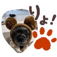 smidori_20260328230206