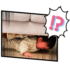 tomoka_20260328230400