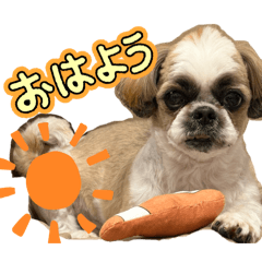 Hazuki_20260328230123