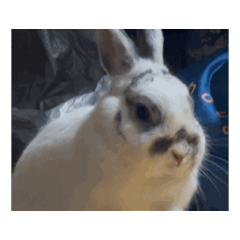 Pantoro Bakery_20260329134106