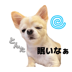 mapleflower_20260326005311