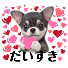 myun503_20260328234136